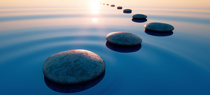 Understanding Weight Empowering Personalized Wellness 