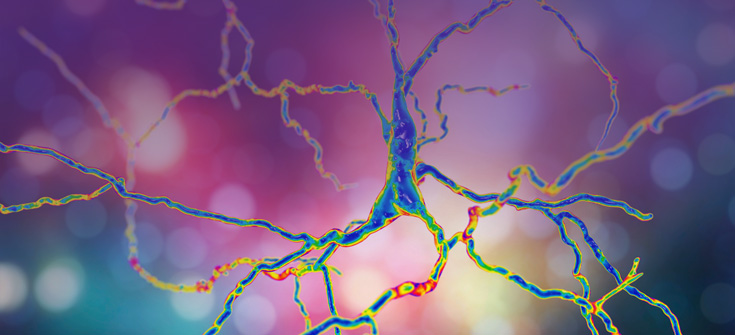 Opportunities with Novel Therapies to Treat the Entire Spectrum of Schizophrenia Symptoms
