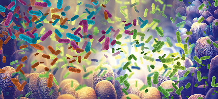 Breaking the Cycle: The Role of Microbiota-Based Biotherapies in the Reduction of Recurrent Clostridioides difficile