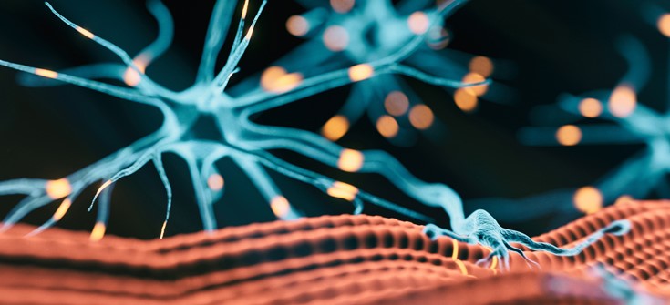 Sustainable Strategies for Optimally Integrating FcRn Inhibitors into Individualized Treatment Paradigms for Generalized Myasthenia Gravis (gMG)