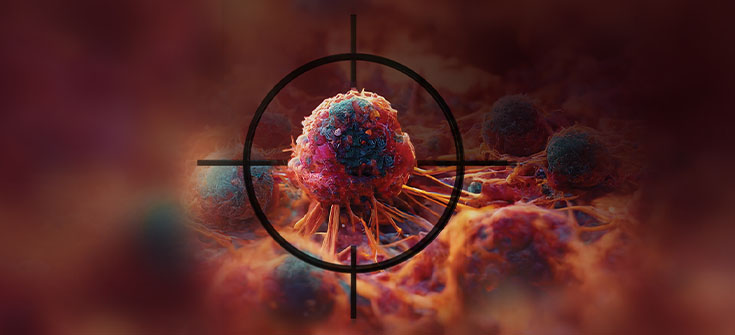 Establishing Frameworks for Precision Medicine in NTRK Fusion-Positive Advanced Solid Tumors