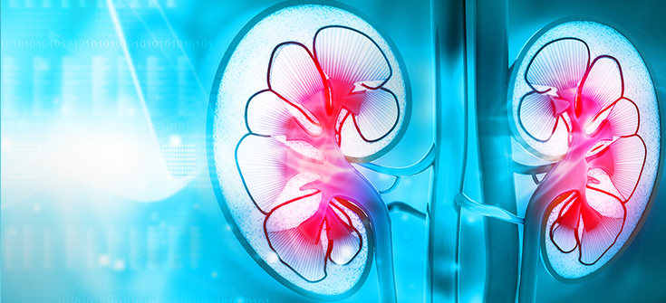 Kidney Week Conference Coverage