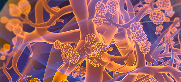 Emerging Therapies, Novel Mechanisms, and New Hope in the Treatment of PAH