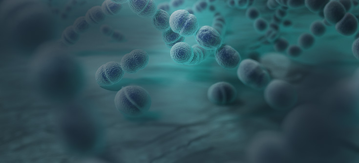 Are You Up to Speed? Test Your Knowledge on Pneumococcal Vaccination in Adults