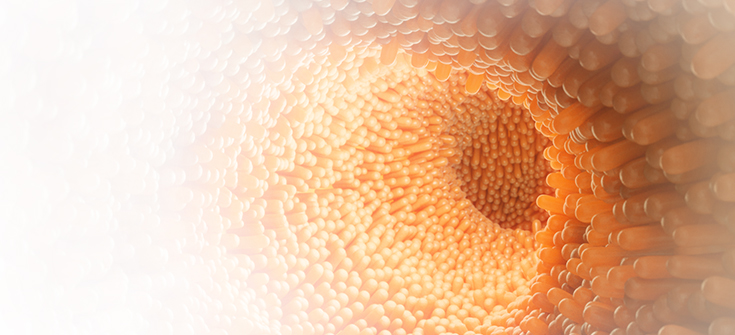 Collaborative Management Strategies for Acute/Urgent Care in Short Bowel Syndrome