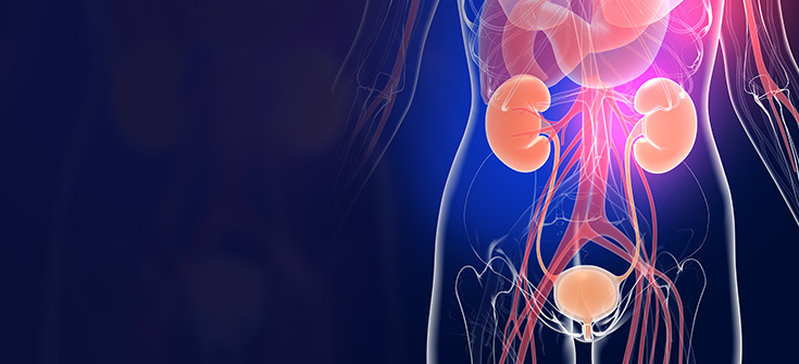 Evolving Strategies for Identifying and Treating Uncomplicated Urinary Tract Infections: Filling the Gaps Across Clinical Settings